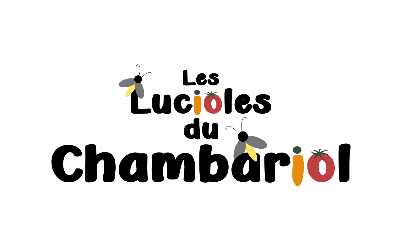 Logo & identité — Design graphique